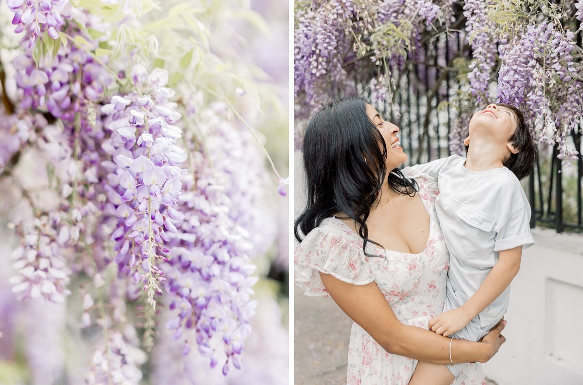 little boy gazes up at blooming wisteria